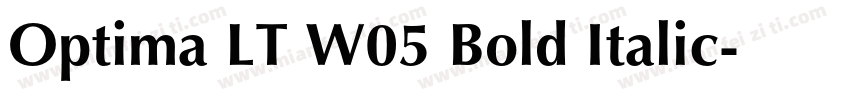 Optima LT W05 Bold Italic字体转换